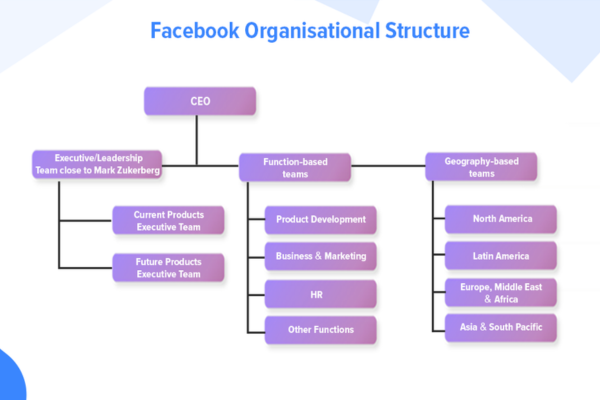 Describe the structure and components of a typical Facebook profile