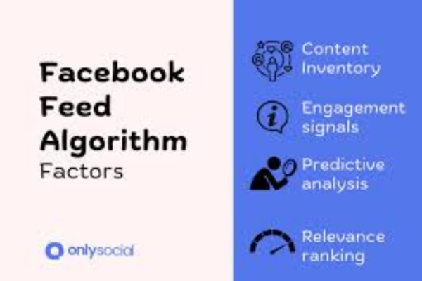 How does Facebook use algorithms to show content on your feed?