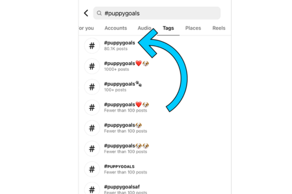 How do hashtags work on Instagram and why are they important?