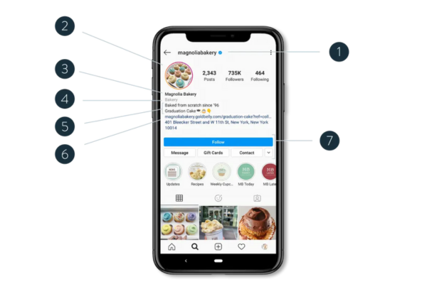 Describe the structure of an Instagram profile.