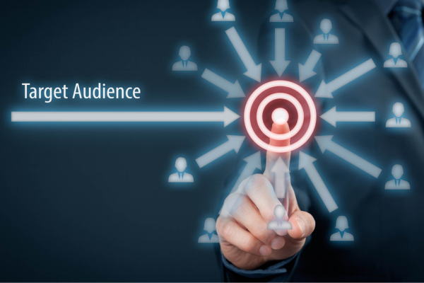 What is audience targeting?