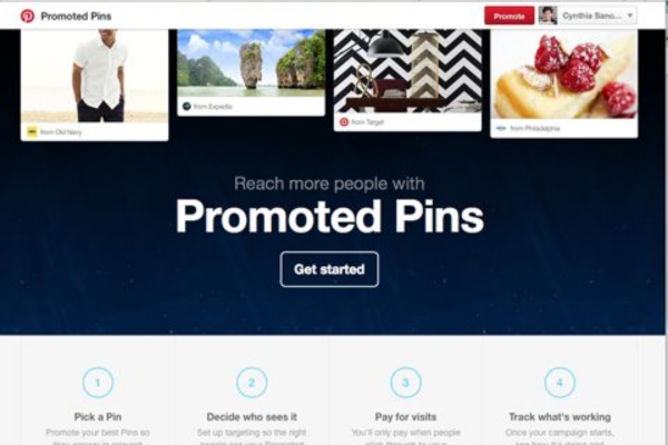What are promoted pins, and how are they targeted?
