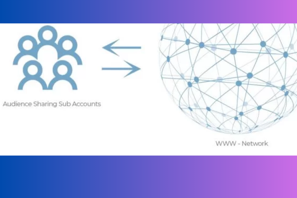 How to use shared audiences?